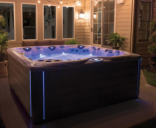 Спа бассейн Master Spas Legend LSX 800 (рис.1)